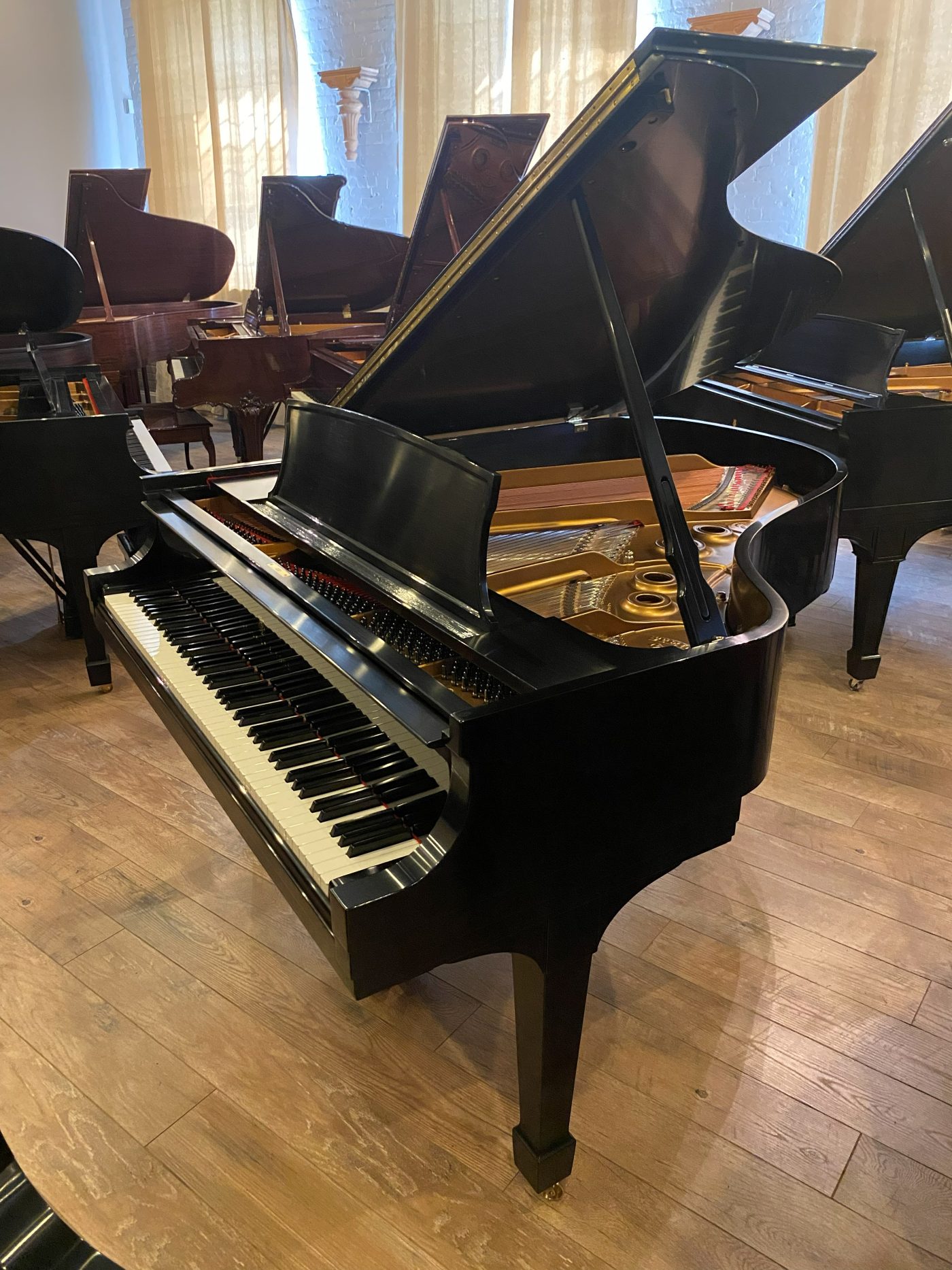 Cantabile showroom